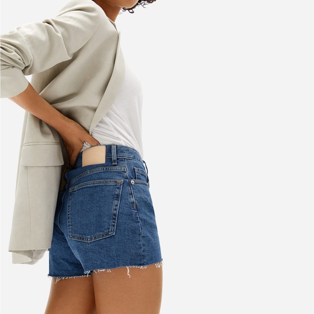 Everlane The Cheeky Denim Short Jeans Cut Offs 919